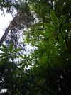 IMG-20200829-193227.webp