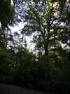 IMG-20200829-193109.webp