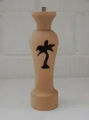 DSCN2653.webp