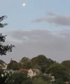 morgenmond.webp