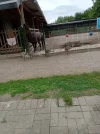 005.webp