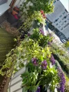 balkonien 002.webp