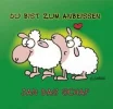 1 schaf.webp