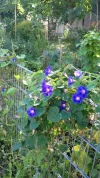20200903_100401.webp