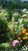 20200903_100307.webp