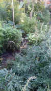 20200903_100452.webp