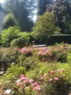 Rosengarten_2.webp