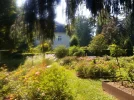 Rosengarten_3.webp