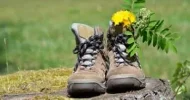 wanderschuzh.webp