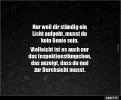 7 licht.webp