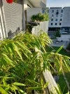 20200913_172328.webp