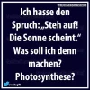 C9A2D339-0FDE-4FD3-B298-10B3FC2716BC.webp
