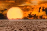 images-24.webp