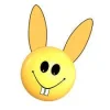 7 hasi.webp