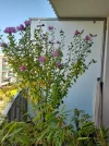 20200918_115518.webp