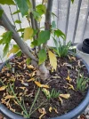 20200918_115625.webp