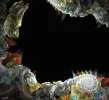 FABERGE 01092020_1.webp