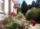 Ziergräser_7.webp