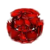 pic.webp
