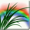 dream.webp
