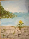 DSC01455.webp