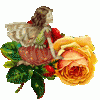 1elfe3.gif