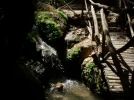 Schmetterlingstal_063.webp