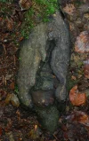 Alte_Dame_Wurzel.webp