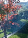 1140 - 010512.webp
