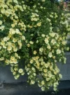 1396 - 040512.webp