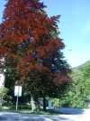 1857 - 110512.webp