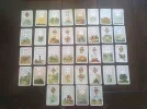 Kartenblatt_7_5_12.webp