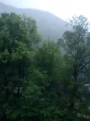2427 - 210512.webp