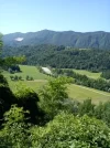 DSC00118.webp
