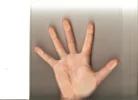 nf.webp