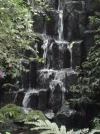 PICT0106.webp