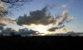 -1-048 Seth-Schwabst..webp