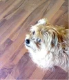 Tobi.webp