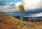 Scannen0176.webp