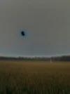 Ufo1.webp