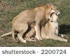 60892,1164074194,6.webp