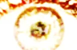 Auge[1] - Kopie.webp