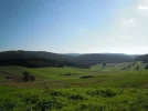 Blick_von_Großpertenschlag.webp