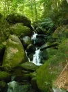 Ysperklamm3.webp