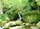 Ysperklamm4.webp