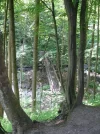 Blick_von_Gudenushöhle.webp