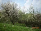 DSCN2360.webp
