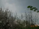 DSCN2364.webp