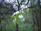 DSCN2381.webp