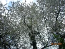 DSCN2426.webp